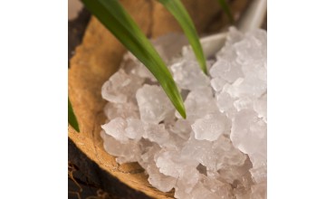 Water Kefir Grains